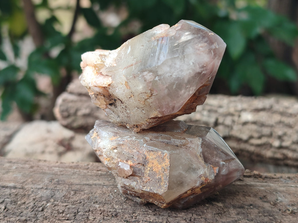 Polished Hematoid Quartz Crystals x 7 From Zimbabwe - Toprock Gemstones and Minerals 