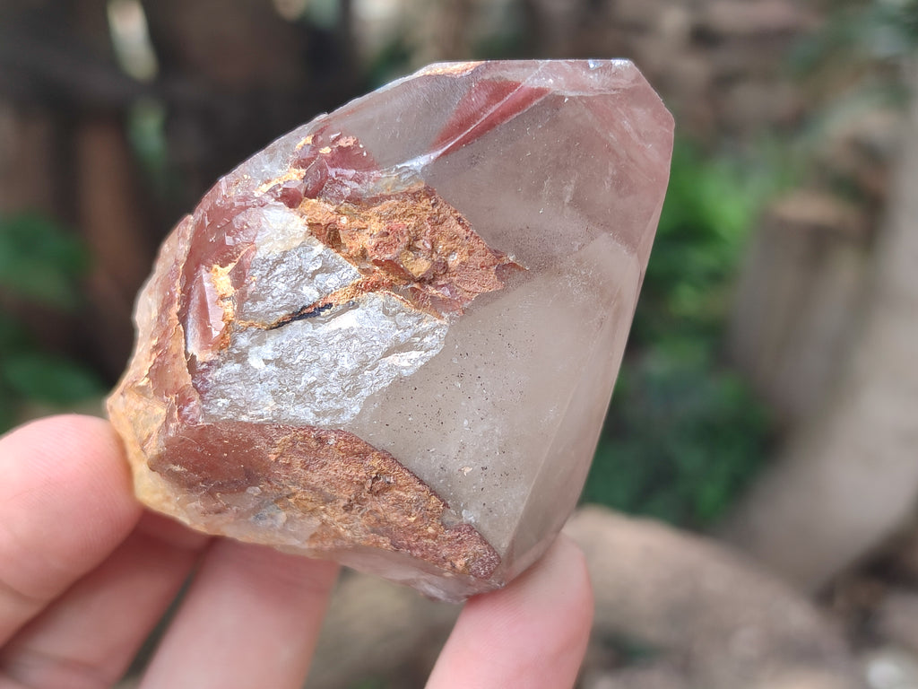 Polished Hematoid Quartz Crystals x 7 From Zimbabwe - Toprock Gemstones and Minerals 