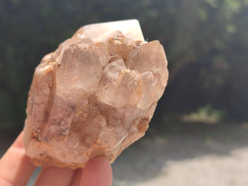 Polished Hematoid Quartz Crystals x 7 From Zimbabwe - Toprock Gemstones and Minerals 