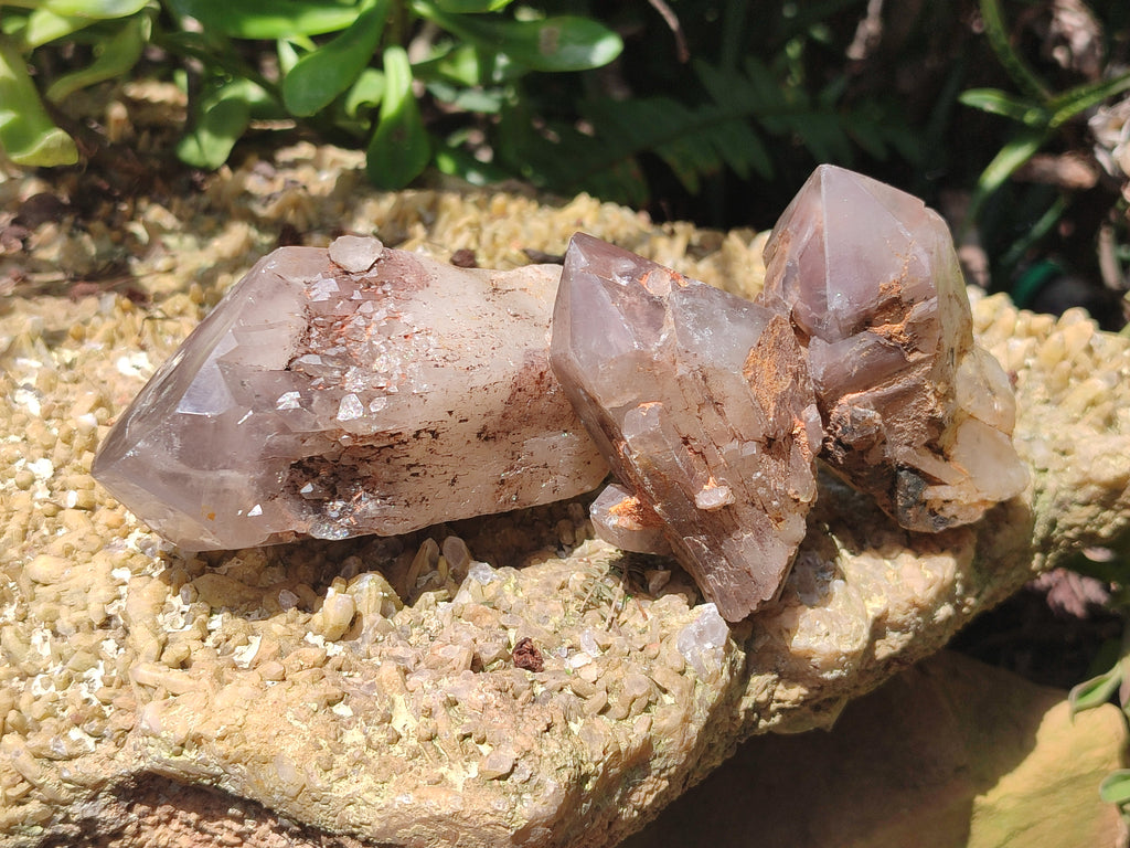 Polished Hematoid Quartz Crystals x 7 From Zimbabwe - Toprock Gemstones and Minerals 