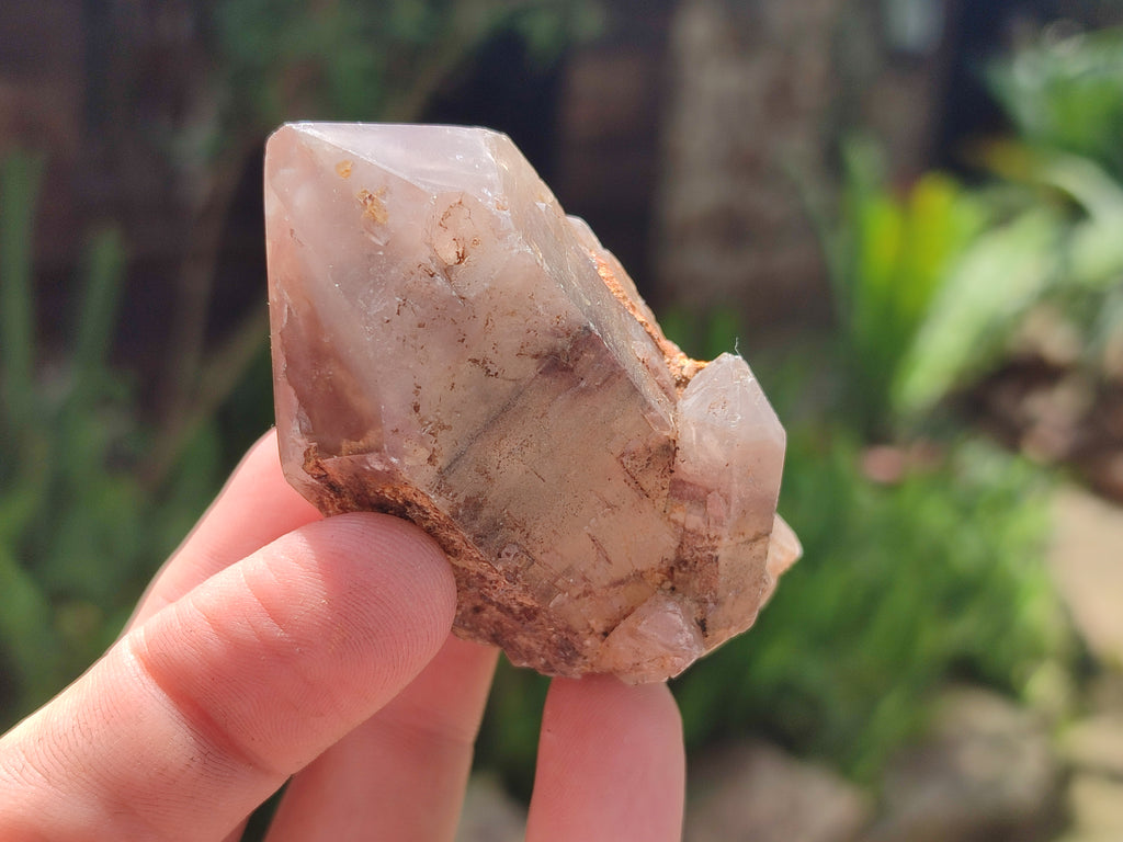 Polished Hematoid Quartz Crystals x 7 From Zimbabwe - Toprock Gemstones and Minerals 