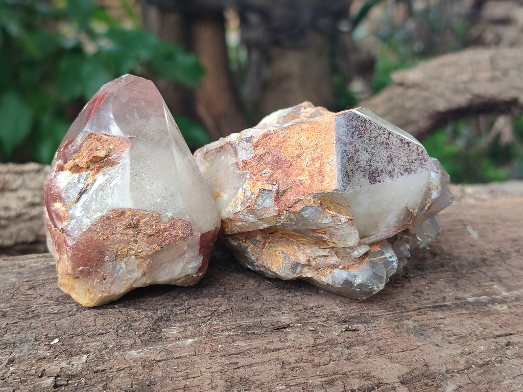 Polished Hematoid Quartz Crystals x 7 From Zimbabwe - Toprock Gemstones and Minerals 