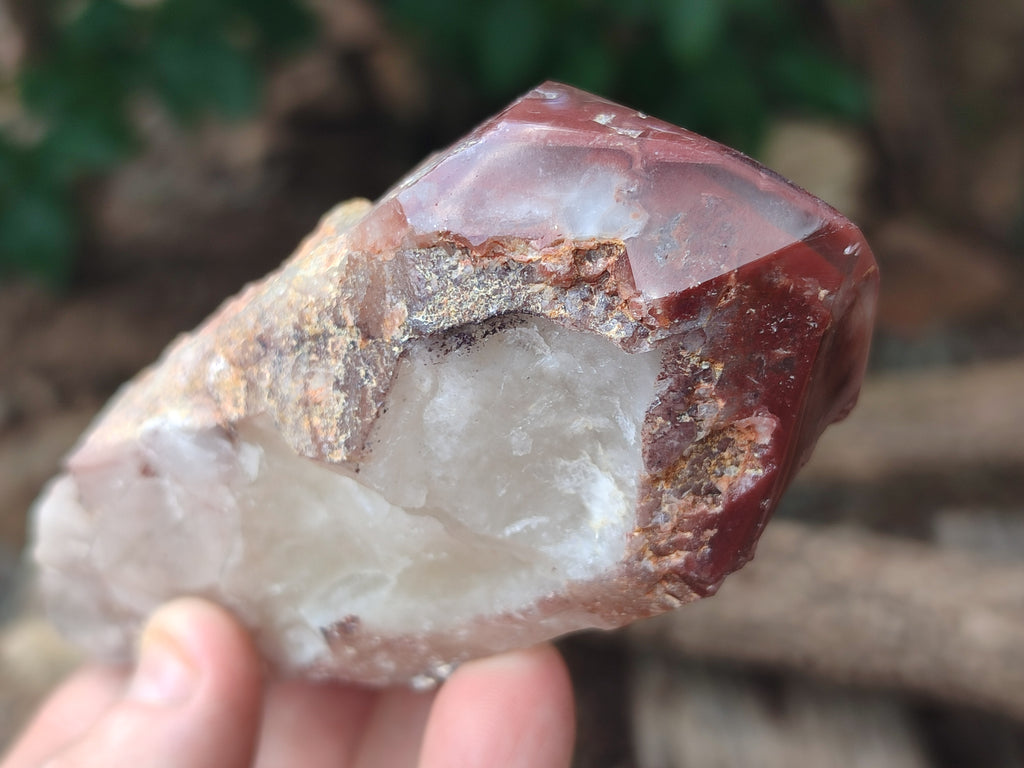 Polished Hematoid Quartz Crystals x 7 From Zimbabwe - Toprock Gemstones and Minerals 