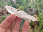 Natural Quartz Crystals x 35 From Mpika, Zambia - Toprock Gemstones and Minerals 