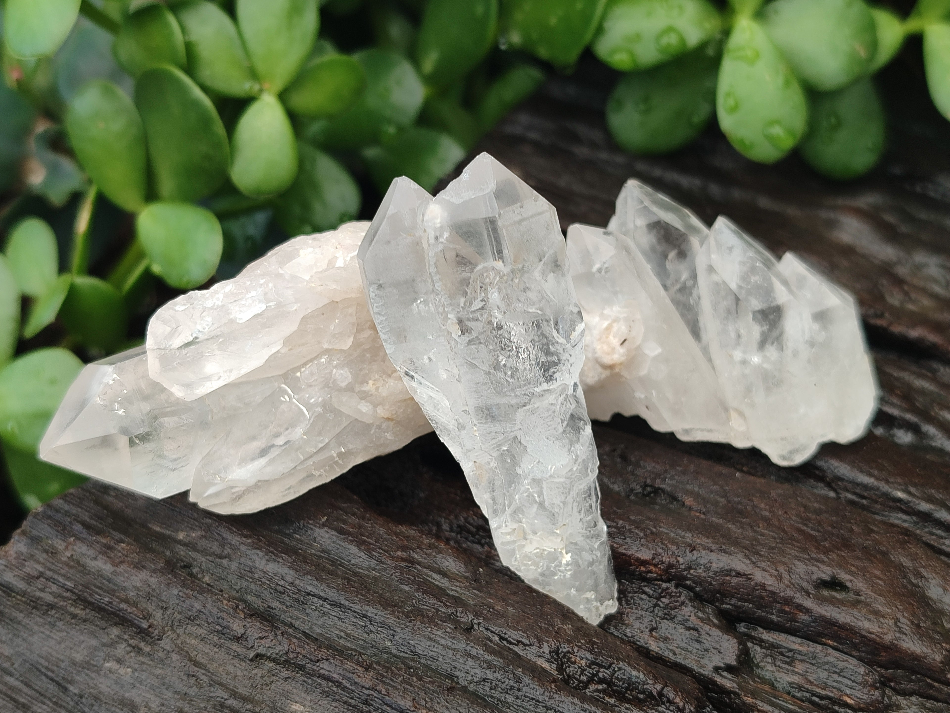 Natural Quartz Crystals x 35 From Mpika, Zambia - Toprock Gemstones and Minerals 