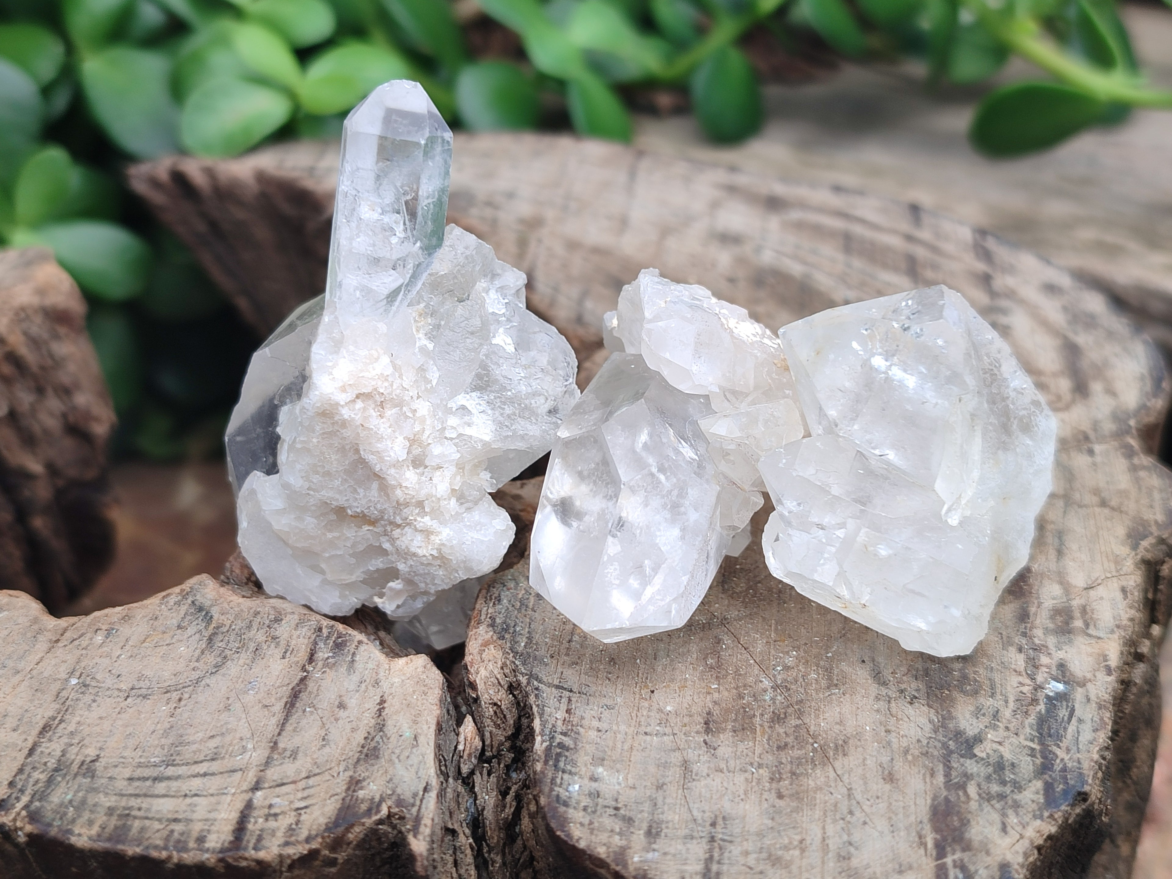 Natural Quartz Crystals x 35 From Mpika, Zambia - Toprock Gemstones and Minerals 