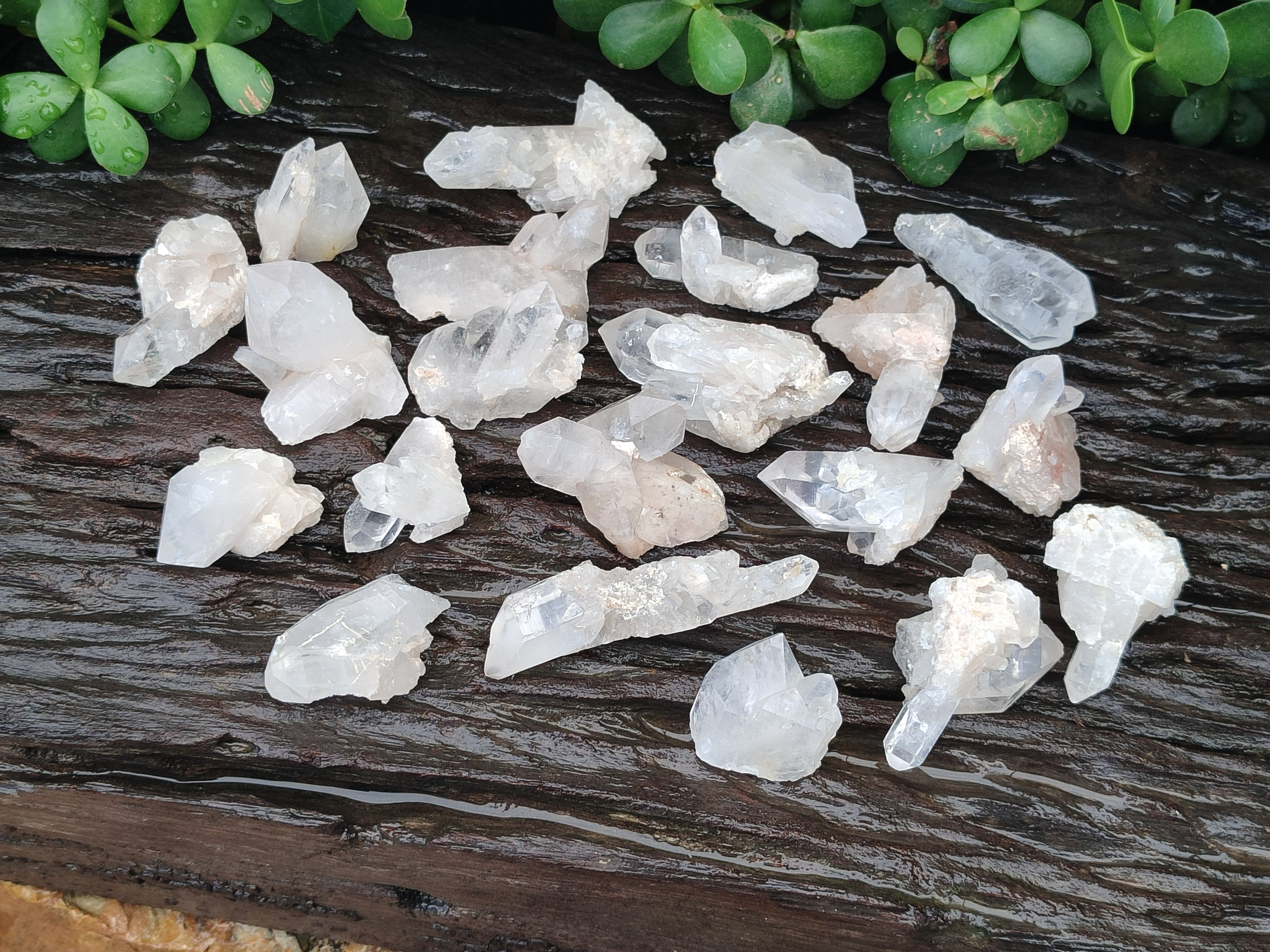 Natural Quartz Crystals x 35 From Mpika, Zambia - Toprock Gemstones and Minerals 