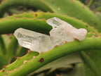 Natural Quartz Crystals x 35 From Mpika, Zambia - Toprock Gemstones and Minerals 
