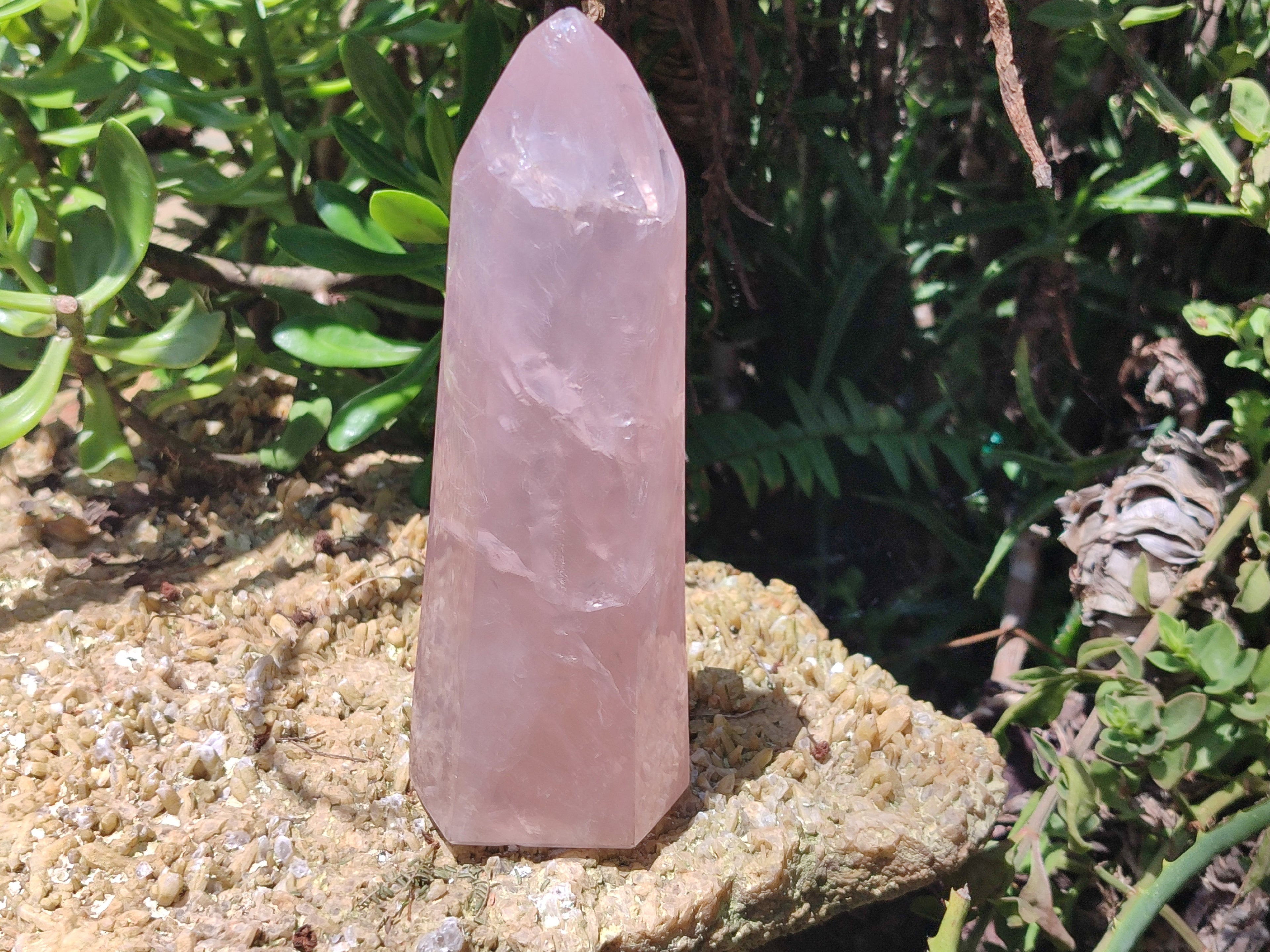 Polished Rose Quartz Points x 2 From Madagascar - Toprock Gemstones and Minerals 