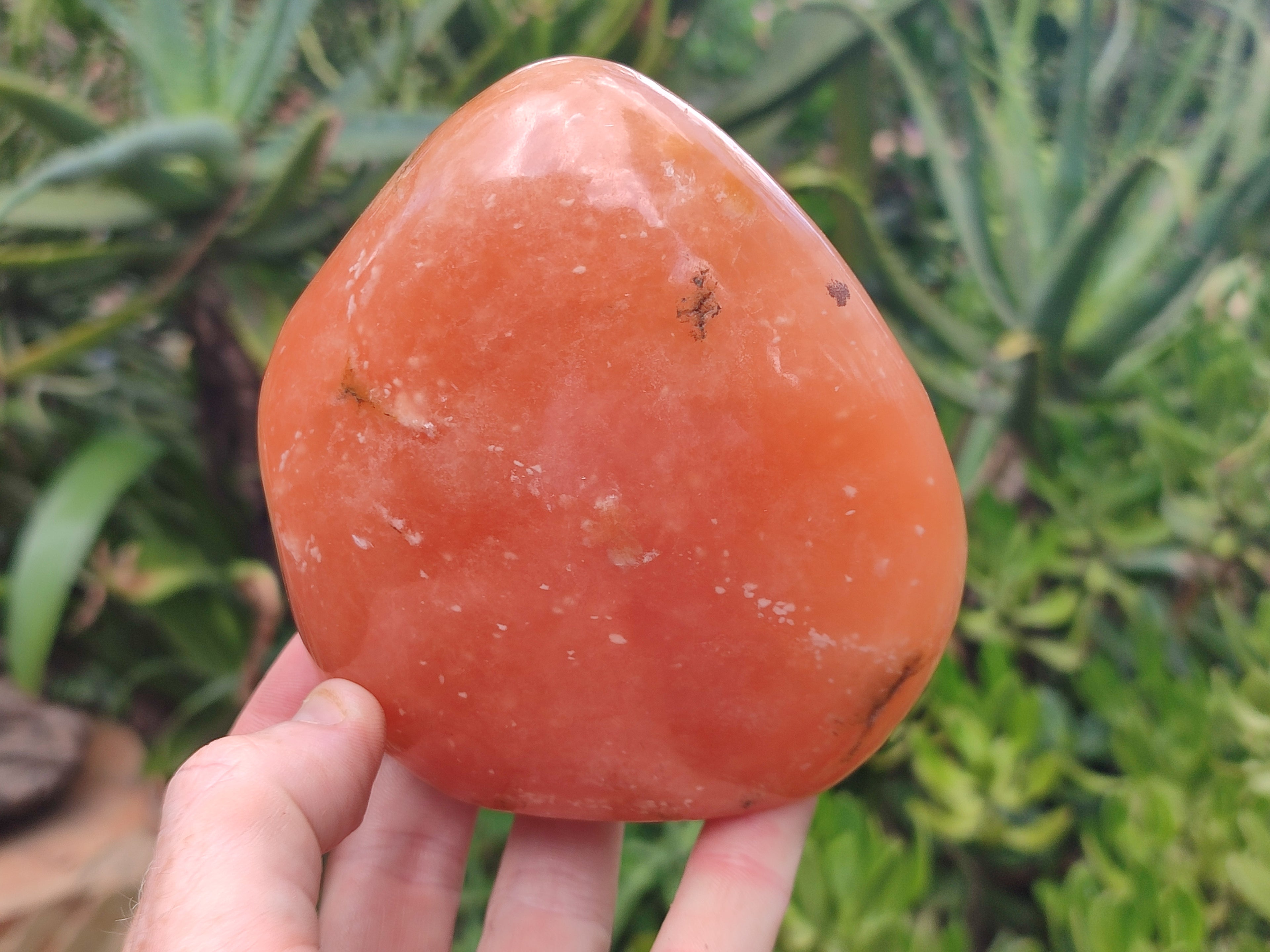 Polished Orange Twist Calcite Standing Free Forms x 2 From Madagascar - Toprock Gemstones and Minerals 