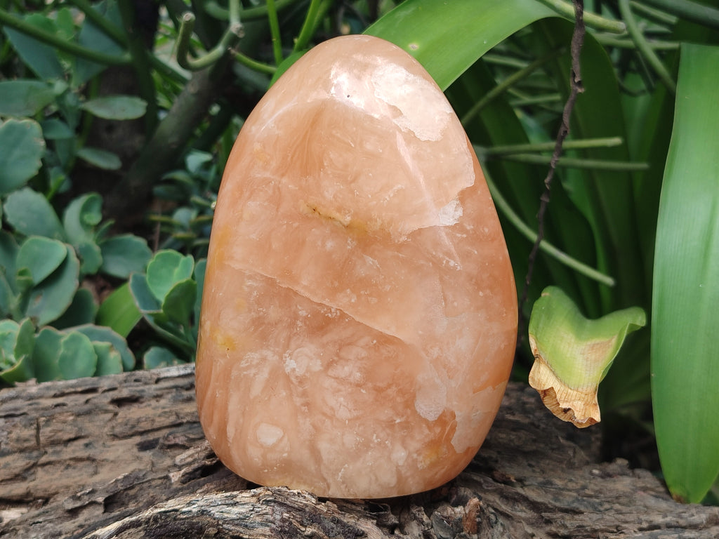 Polished Orange Twist Calcite Standing Free Forms x 2 From Madagascar - Toprock Gemstones and Minerals 