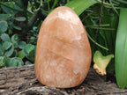 Polished Orange Twist Calcite Standing Free Forms x 2 From Madagascar - Toprock Gemstones and Minerals 