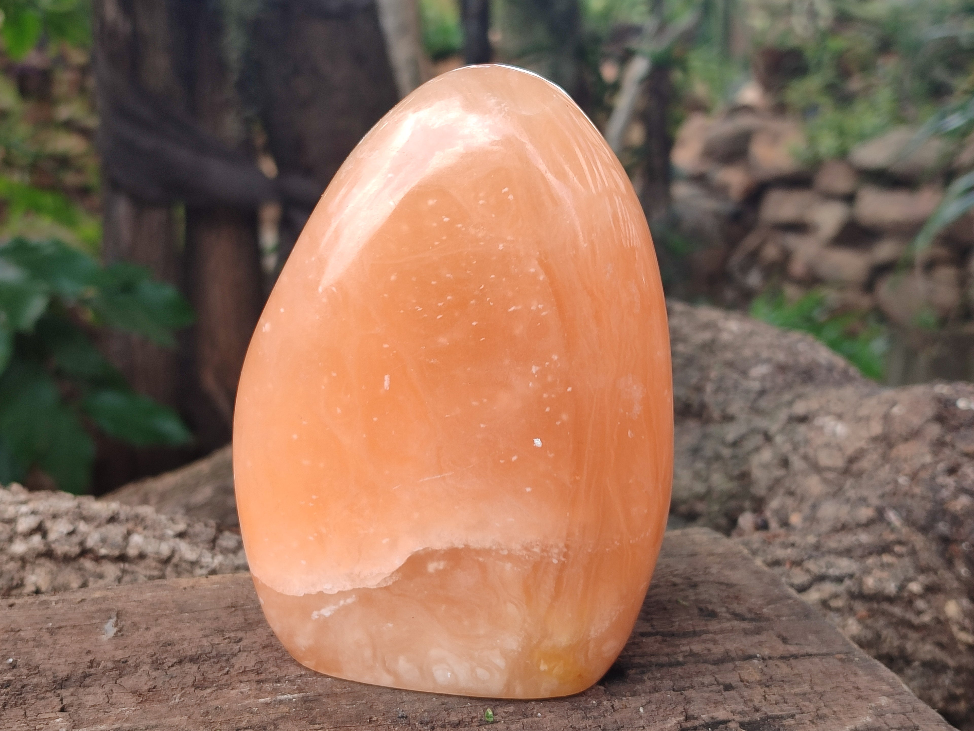 Polished Orange Twist Calcite Standing Free Forms x 2 From Madagascar - Toprock Gemstones and Minerals 
