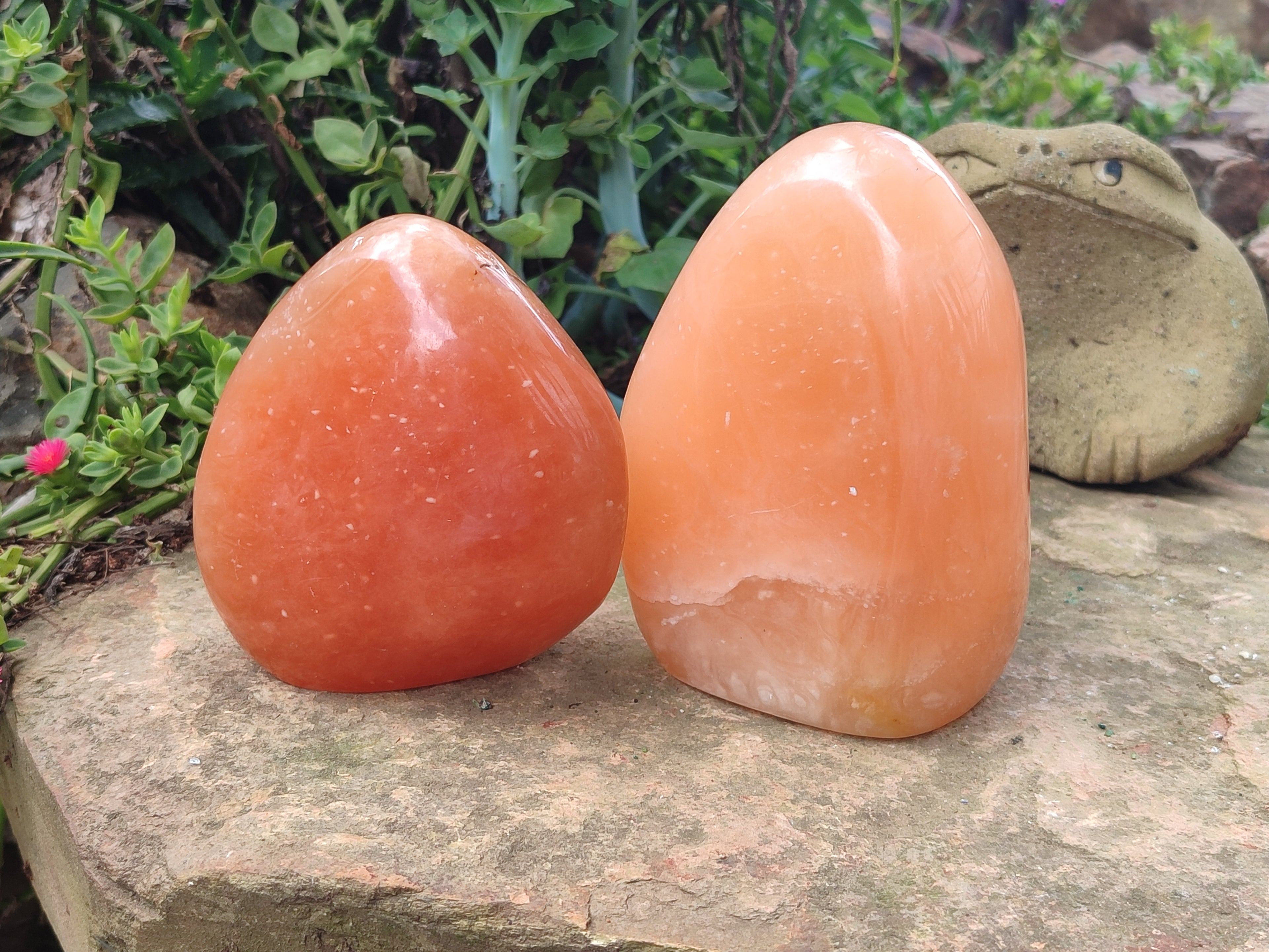 Polished Orange Twist Calcite Standing Free Forms x 2 From Madagascar - Toprock Gemstones and Minerals 
