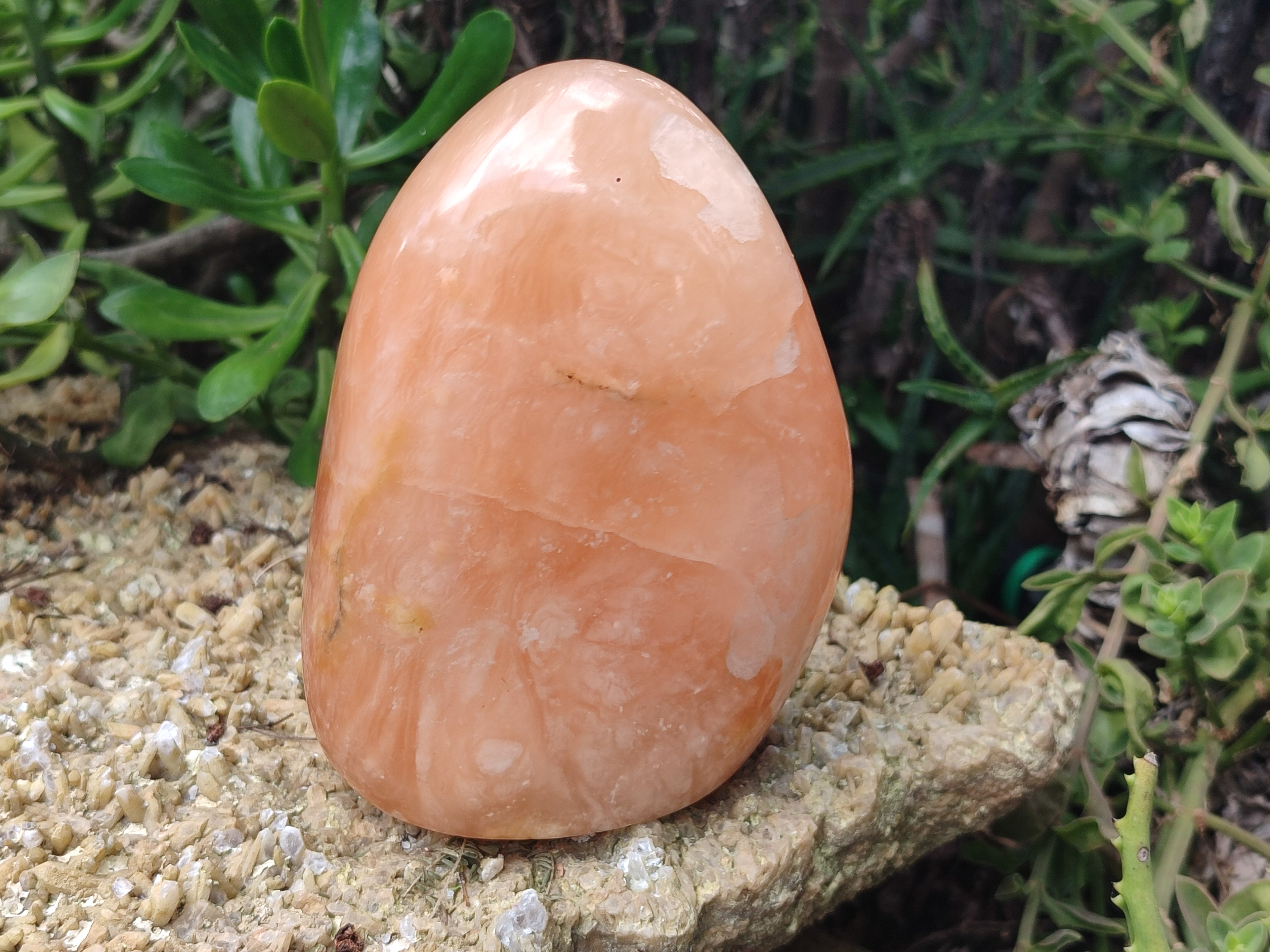 Polished Orange Twist Calcite Standing Free Forms x 2 From Madagascar - Toprock Gemstones and Minerals 