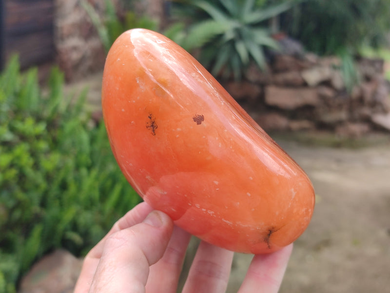 Polished Orange Twist Calcite Standing Free Forms x 2 From Madagascar - Toprock Gemstones and Minerals 