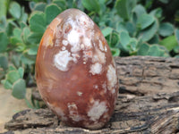 Polished Flower Agate Standing Free Forms x 5 From Antsahalova, Madagascar - Toprock Gemstones and Minerals 