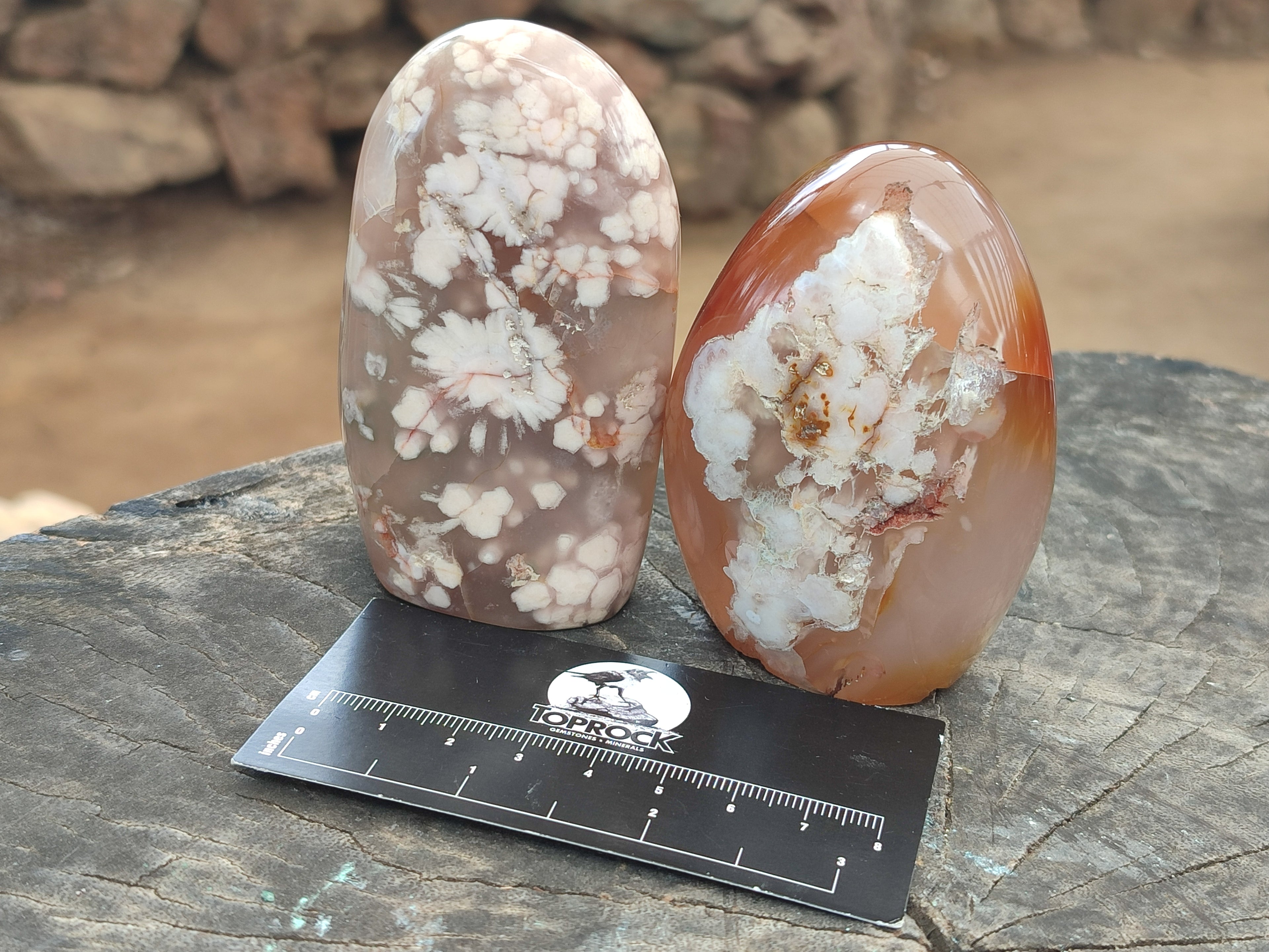 Polished Flower Agate Standing Free Forms x 5 From Antsahalova, Madagascar - Toprock Gemstones and Minerals 