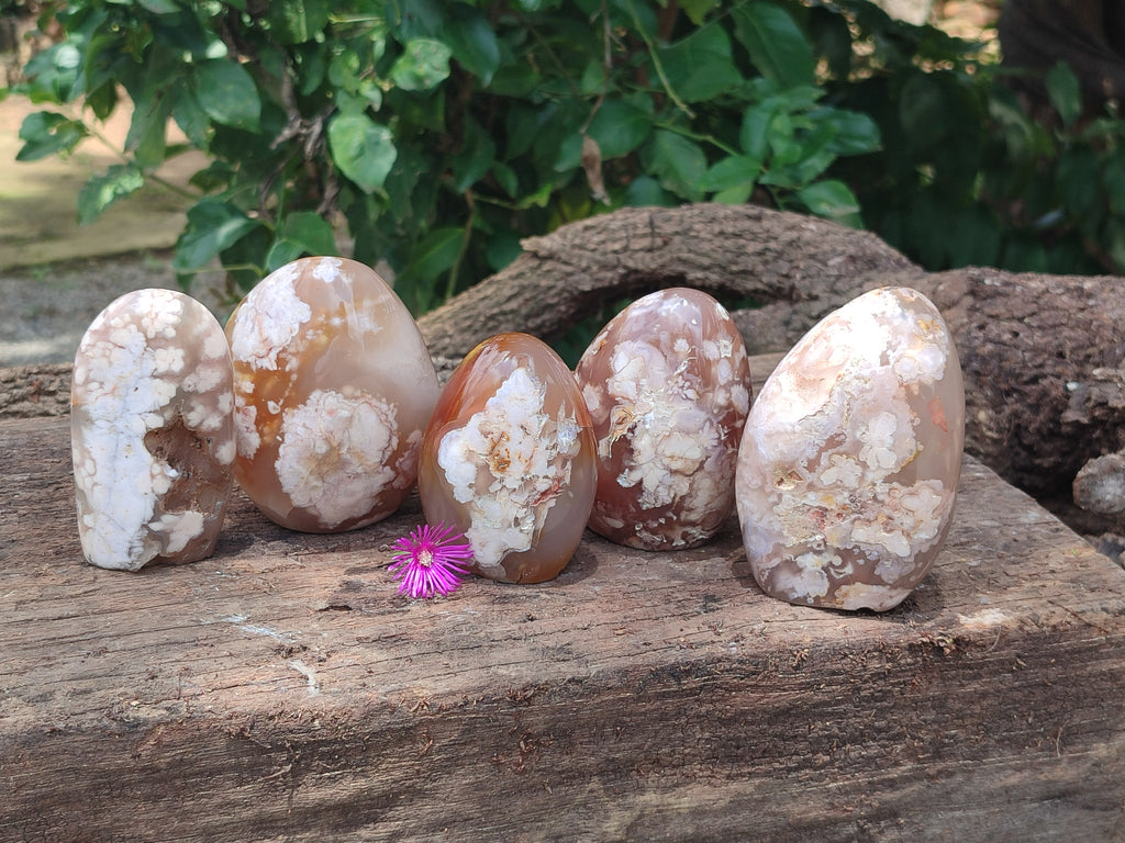 Polished Flower Agate Standing Free Forms x 5 From Antsahalova, Madagascar - Toprock Gemstones and Minerals 