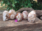 Polished Flower Agate Standing Free Forms x 5 From Antsahalova, Madagascar - Toprock Gemstones and Minerals 