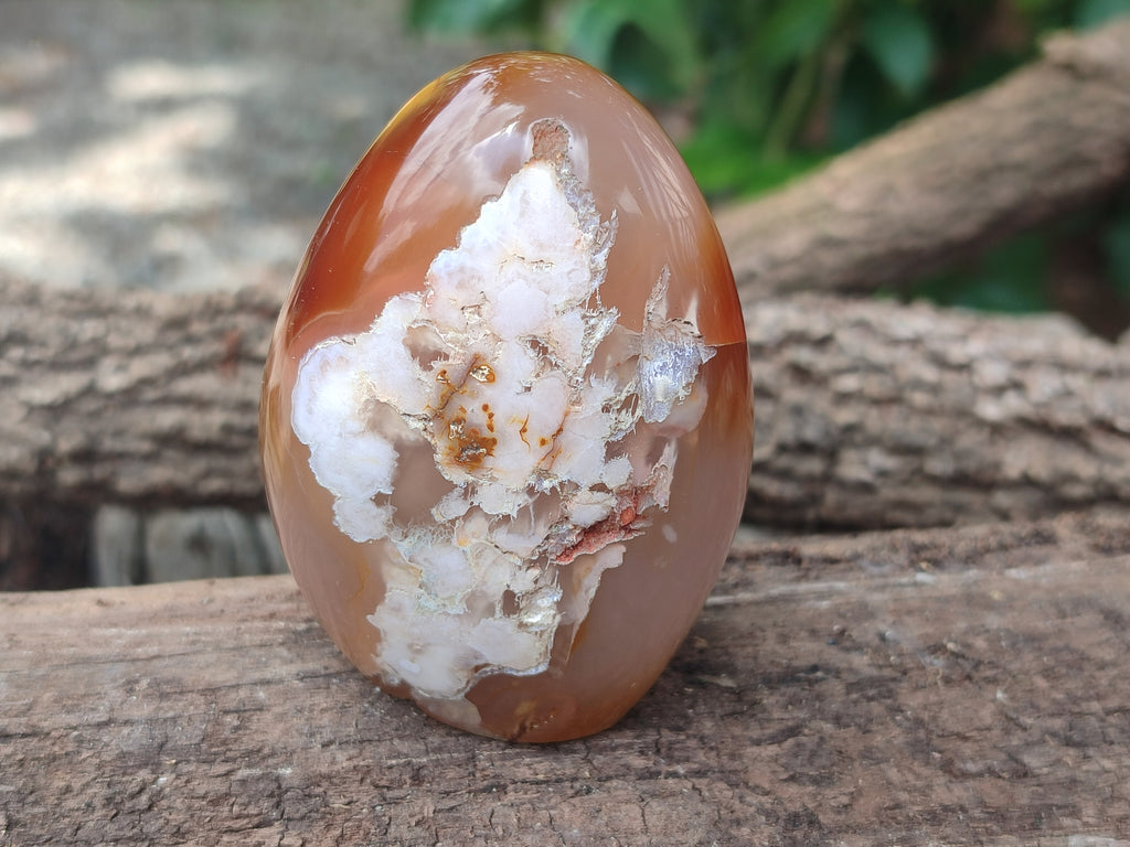 Polished Flower Agate Standing Free Forms x 5 From Antsahalova, Madagascar - Toprock Gemstones and Minerals 