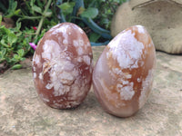 Polished Flower Agate Standing Free Forms x 5 From Antsahalova, Madagascar - Toprock Gemstones and Minerals 