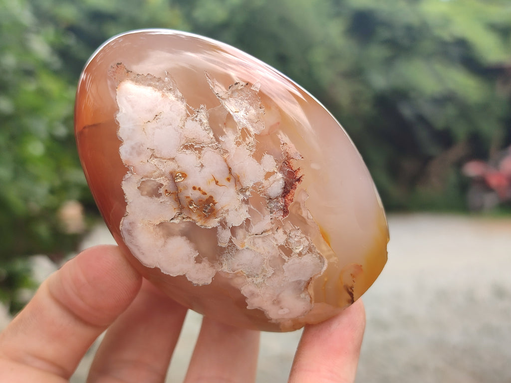 Polished Flower Agate Standing Free Forms x 5 From Antsahalova, Madagascar - Toprock Gemstones and Minerals 