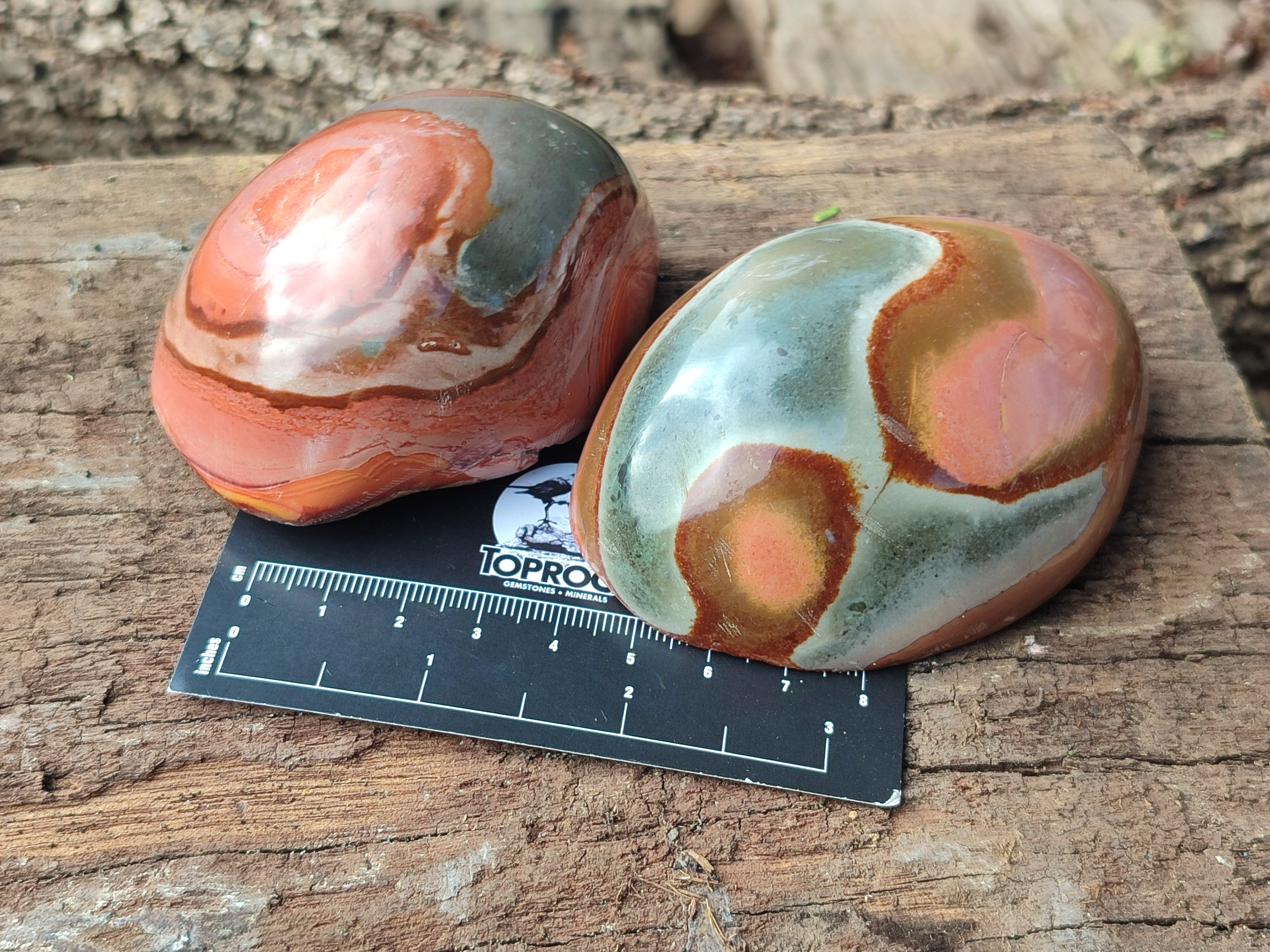 Polished On One Side Polychrome Jasper x 6 From Mahajanga, Madagascar - Toprock Gemstones and Minerals 