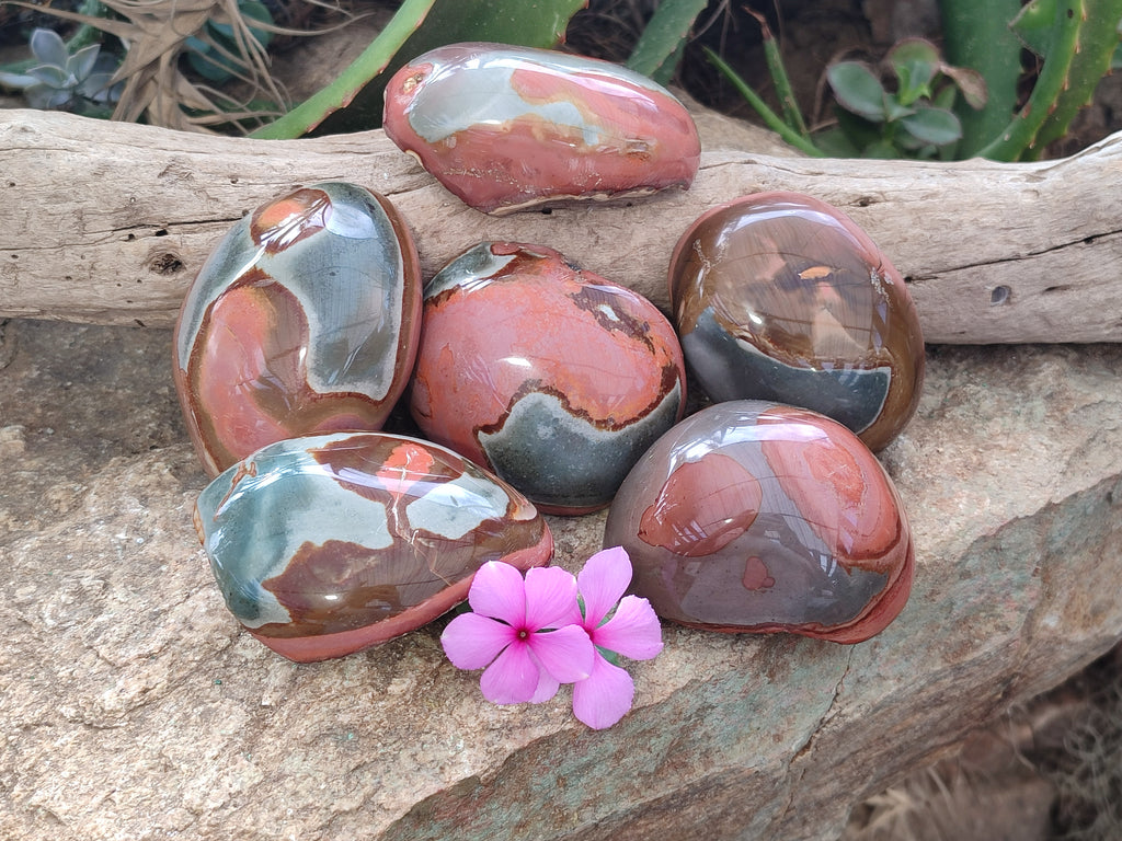 Polished On One Side Polychrome Jasper x 6 From Mahajanga, Madagascar - Toprock Gemstones and Minerals 