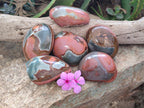 Polished On One Side Polychrome Jasper x 6 From Mahajanga, Madagascar - Toprock Gemstones and Minerals 