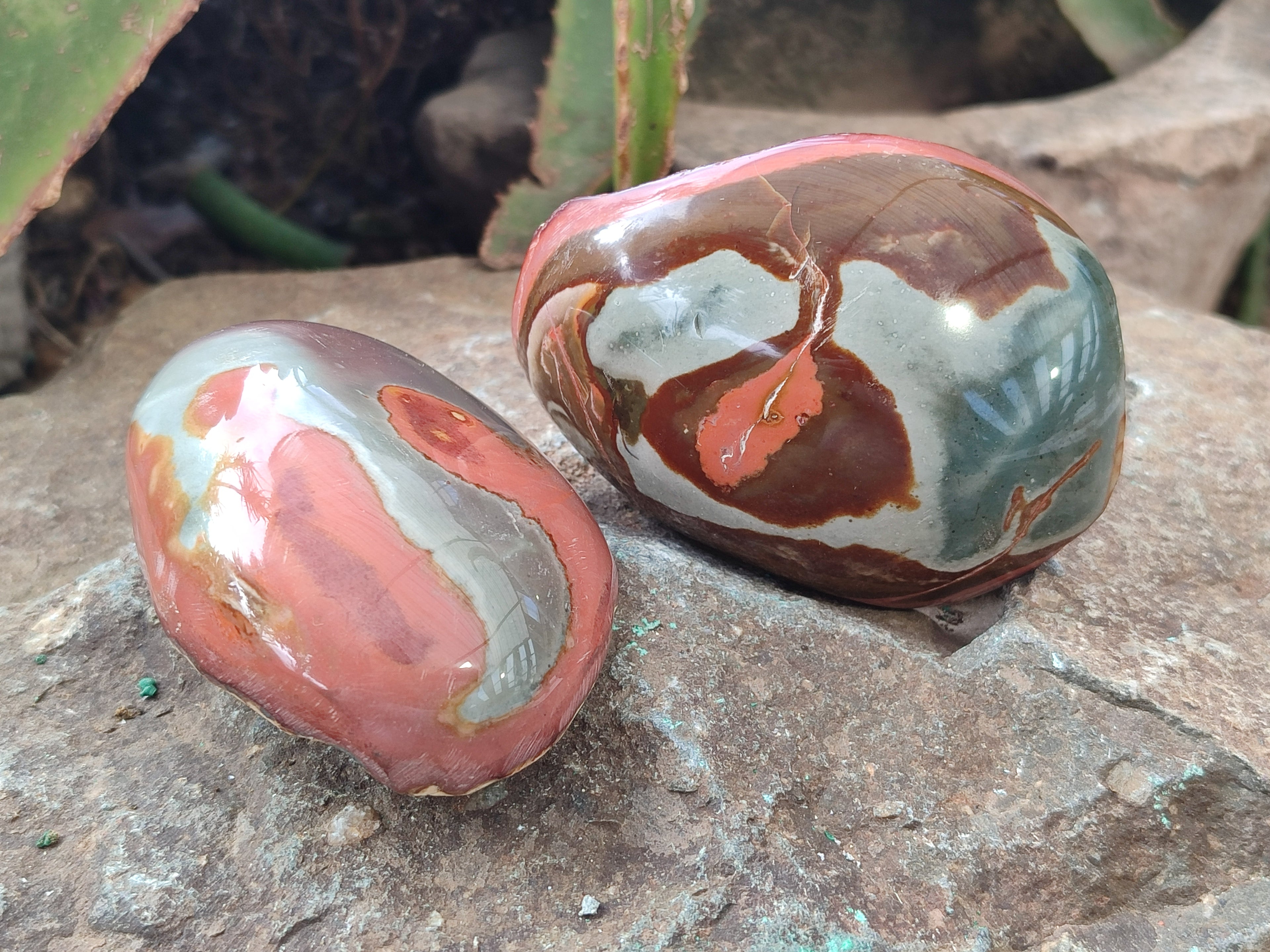 Polished On One Side Polychrome Jasper x 6 From Mahajanga, Madagascar - Toprock Gemstones and Minerals 