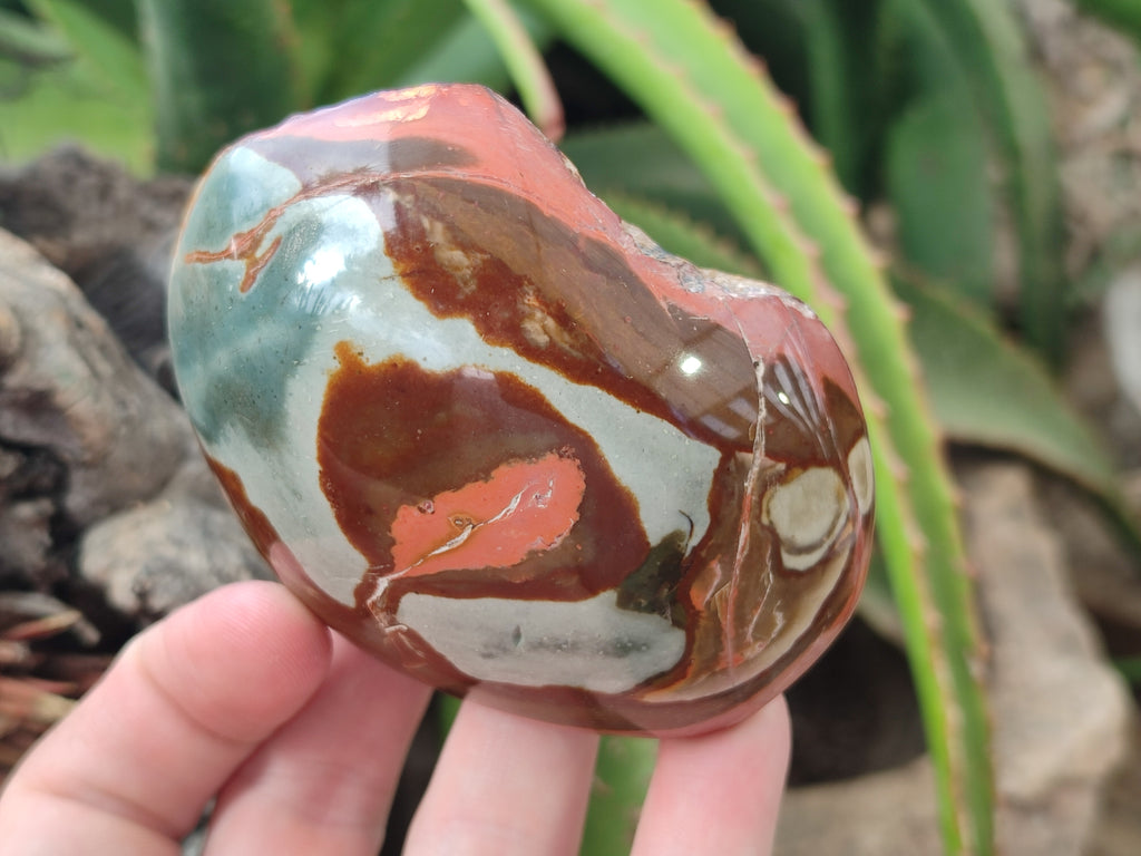 Polished On One Side Polychrome Jasper x 6 From Mahajanga, Madagascar - Toprock Gemstones and Minerals 