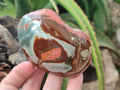 Polished On One Side Polychrome Jasper x 6 From Mahajanga, Madagascar - Toprock Gemstones and Minerals 