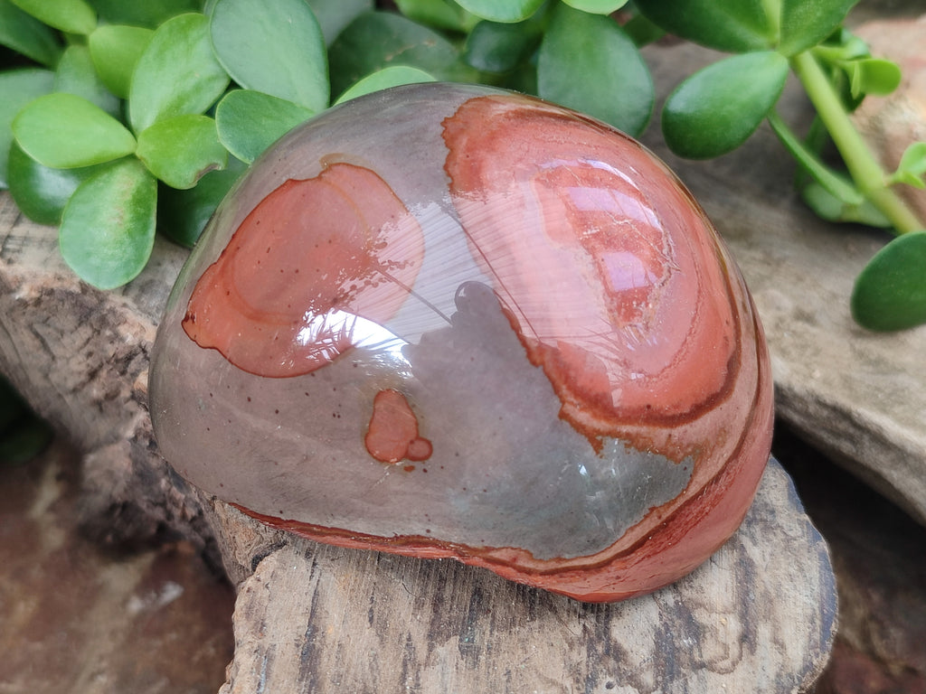 Polished On One Side Polychrome Jasper x 6 From Mahajanga, Madagascar - Toprock Gemstones and Minerals 