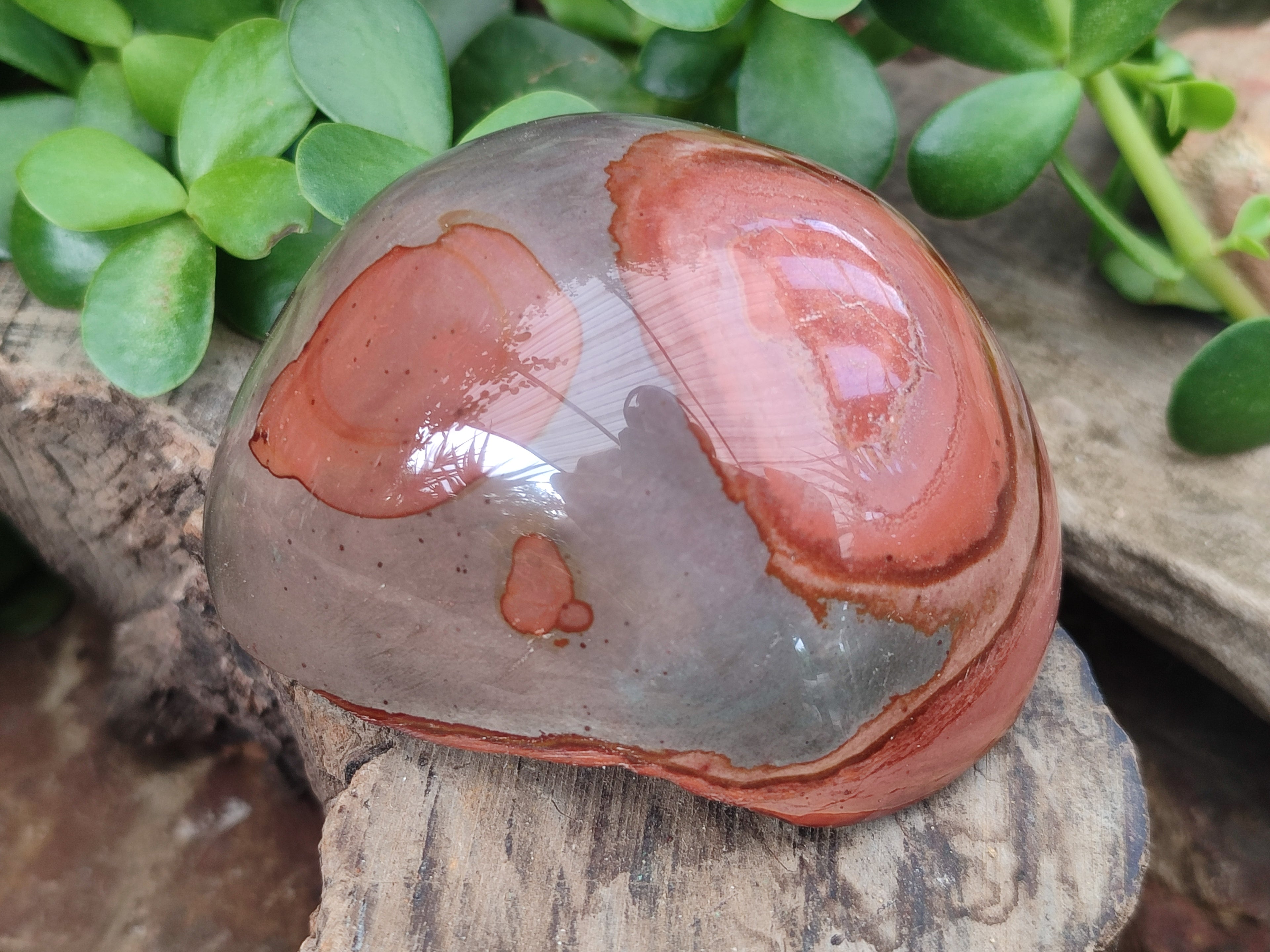 Polished On One Side Polychrome Jasper x 6 From Mahajanga, Madagascar - Toprock Gemstones and Minerals 