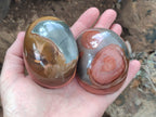 Polished On One Side Polychrome Jasper x 6 From Mahajanga, Madagascar - Toprock Gemstones and Minerals 