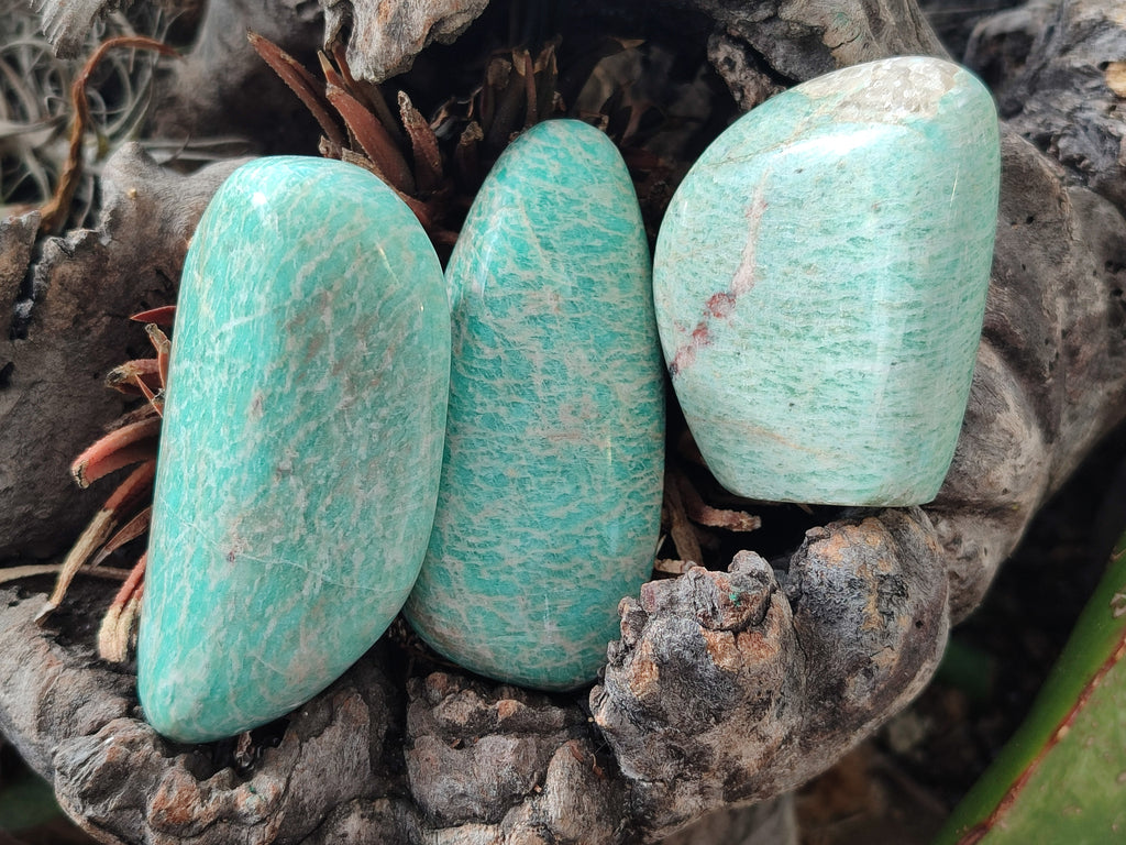 Polished Amazonite Free Forms x 24 From Madagascar - Toprock Gemstones and Minerals 