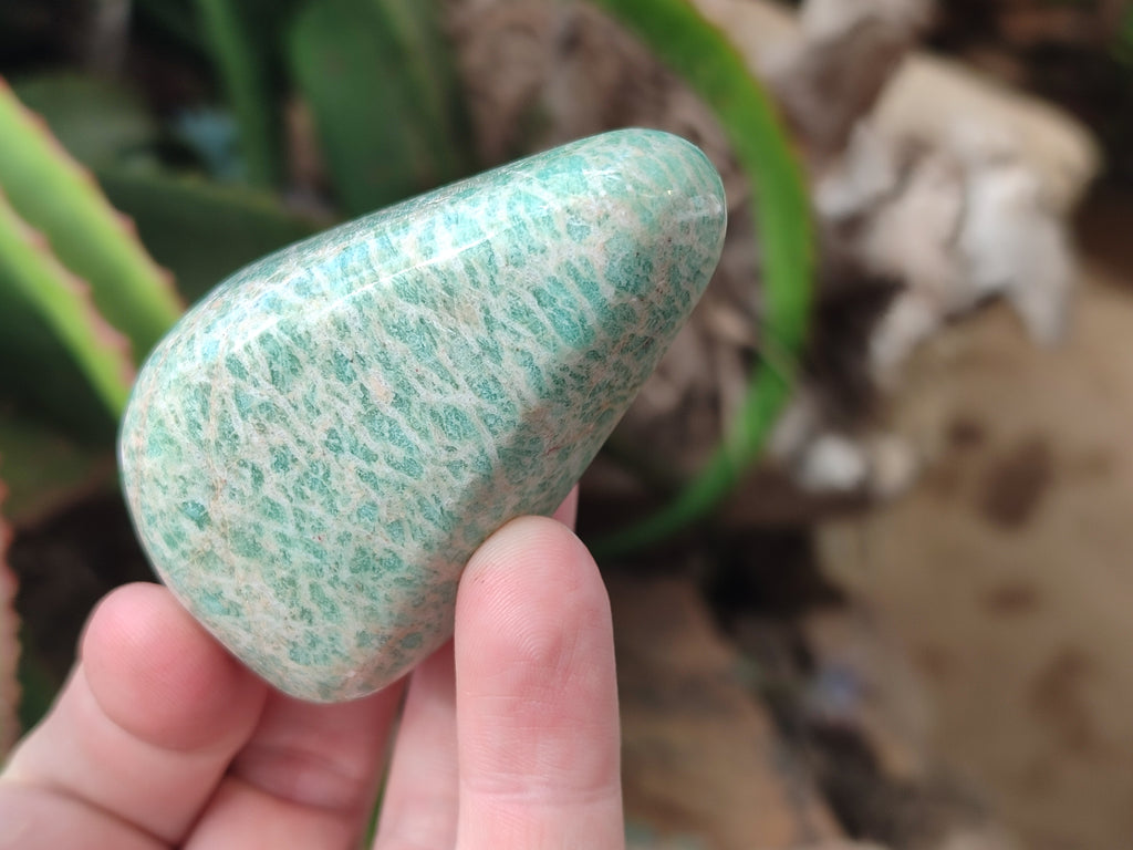 Polished Amazonite Free Forms x 24 From Madagascar - Toprock Gemstones and Minerals 