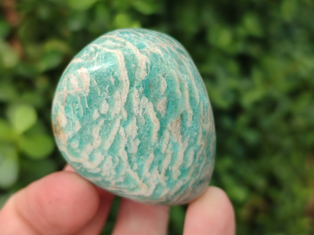 Polished Amazonite Free Forms x 24 From Madagascar - Toprock Gemstones and Minerals 