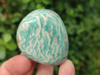 Polished Amazonite Free Forms x 24 From Madagascar - Toprock Gemstones and Minerals 