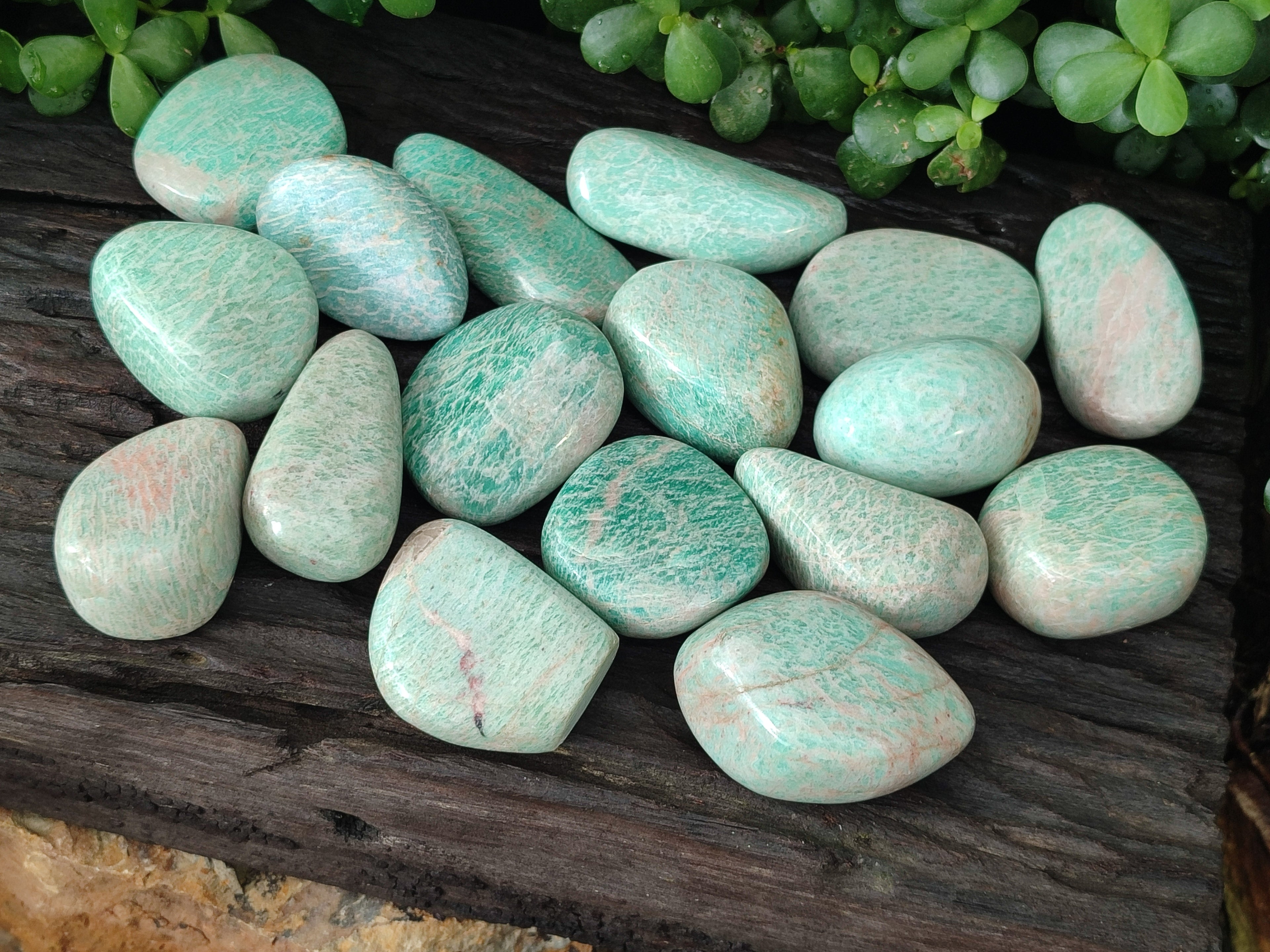 Polished Amazonite Free Forms x 24 From Madagascar - Toprock Gemstones and Minerals 