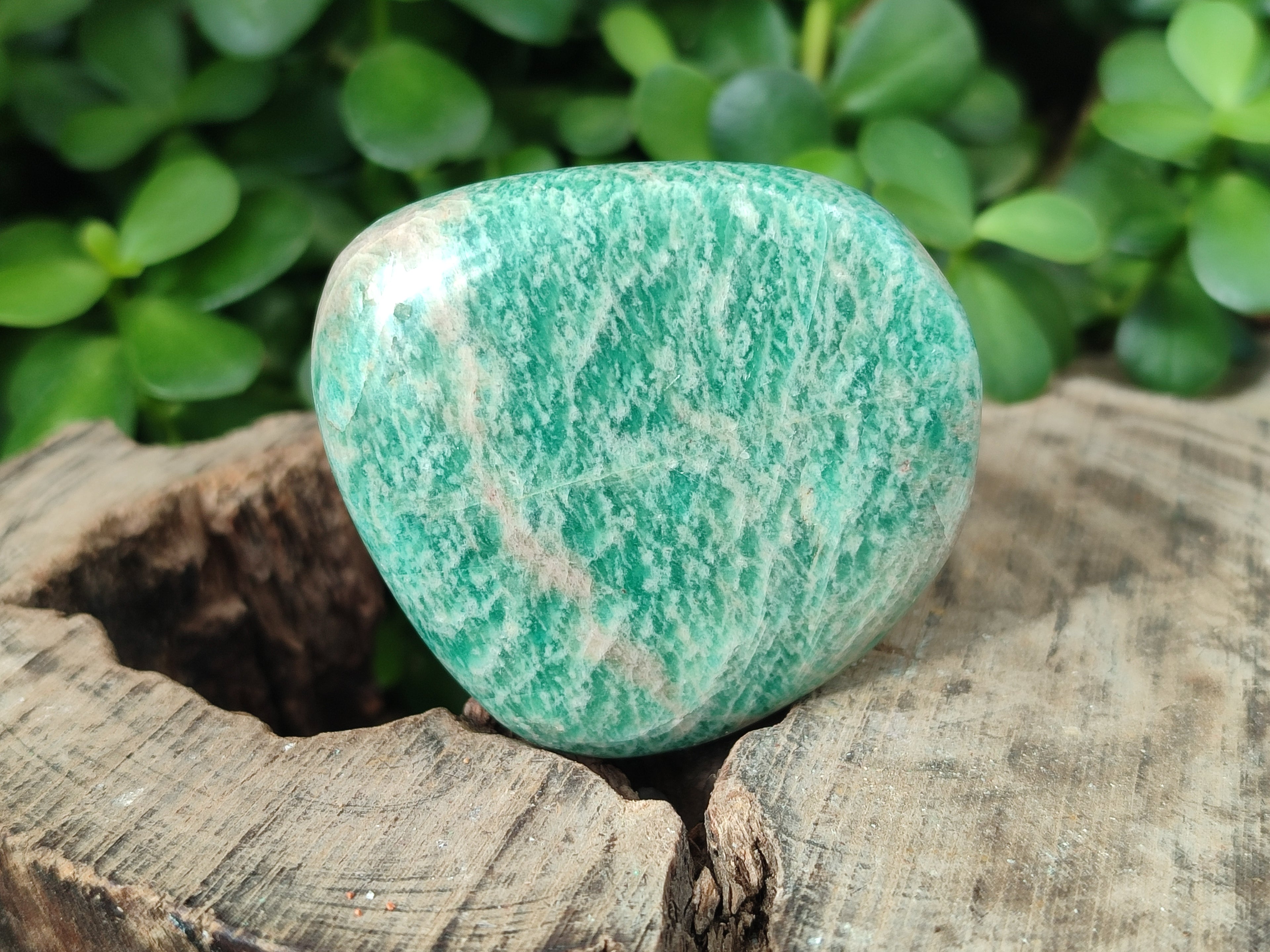 Polished Amazonite Free Forms x 24 From Madagascar - Toprock Gemstones and Minerals 