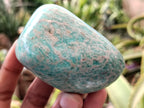 Polished Amazonite Free Forms x 12 From Madagascar - Toprock Gemstones and Minerals 
