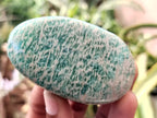 Polished Amazonite Free Forms x 12 From Madagascar - Toprock Gemstones and Minerals 