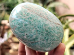Polished Amazonite Free Forms x 12 From Madagascar - Toprock Gemstones and Minerals 