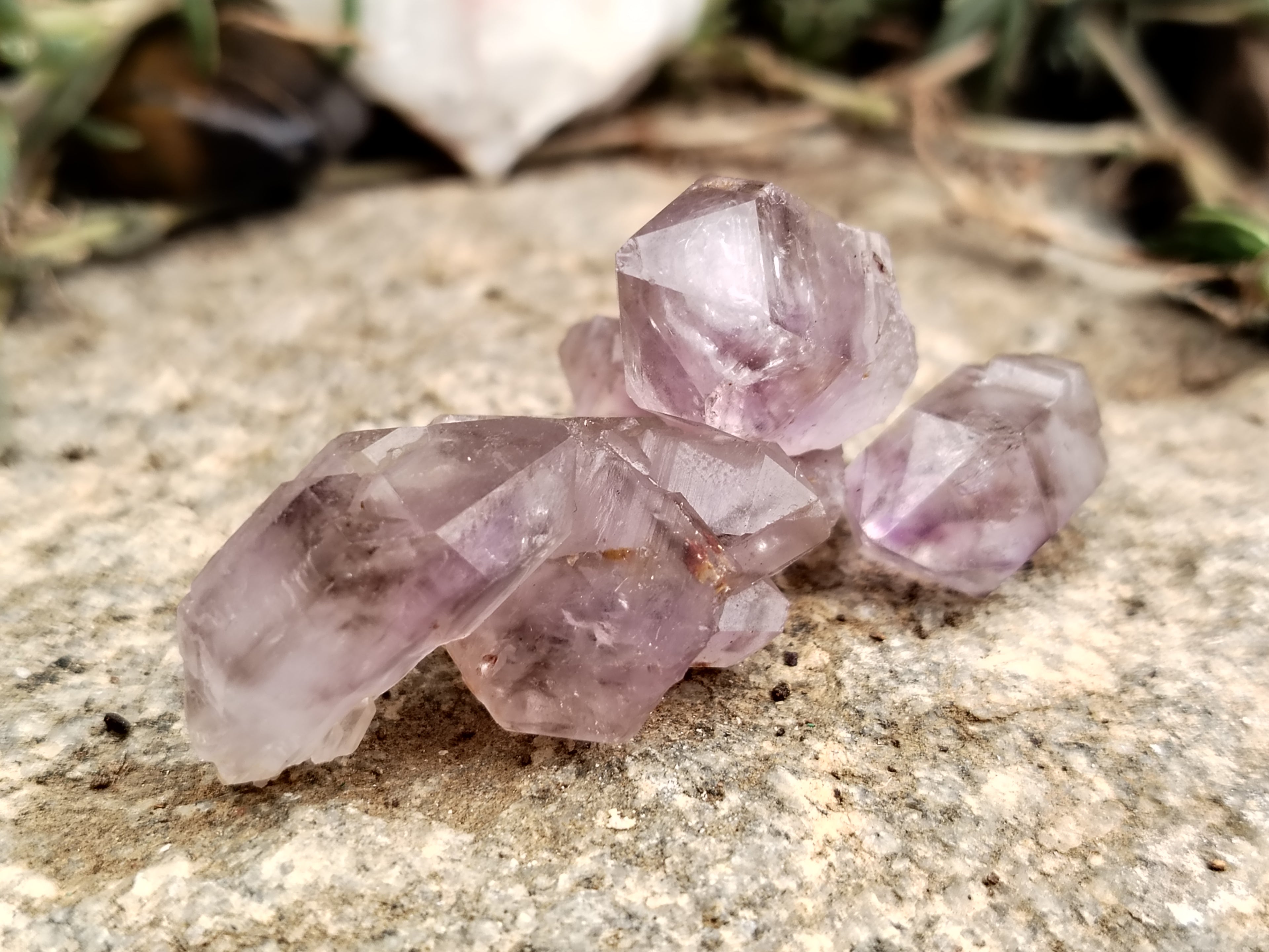 Natural Smokey Window Amethyst Crystals x 70 From Chiredzi, Zimbabwe - Toprock Gemstones and Minerals 