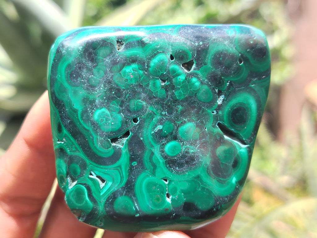 Polished Flower Banded Malachite Free Forms x 12 From Congo - Toprock Gemstones and Minerals 