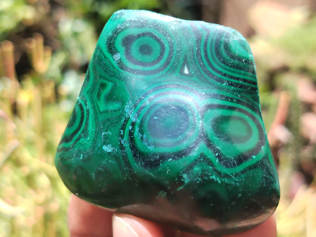Polished Flower Banded Malachite Free Forms x 12 From Congo - Toprock Gemstones and Minerals 