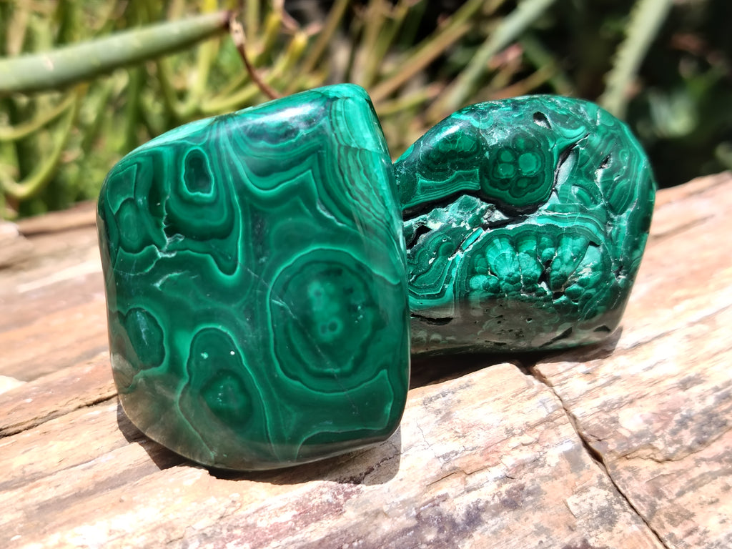 Polished Flower Banded Malachite Free Forms x 12 From Congo - Toprock Gemstones and Minerals 