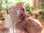 Natural Red Hematoid Quartz Cluster x 1 From Karoi, Zimbabwe - Toprock Gemstones and Minerals 